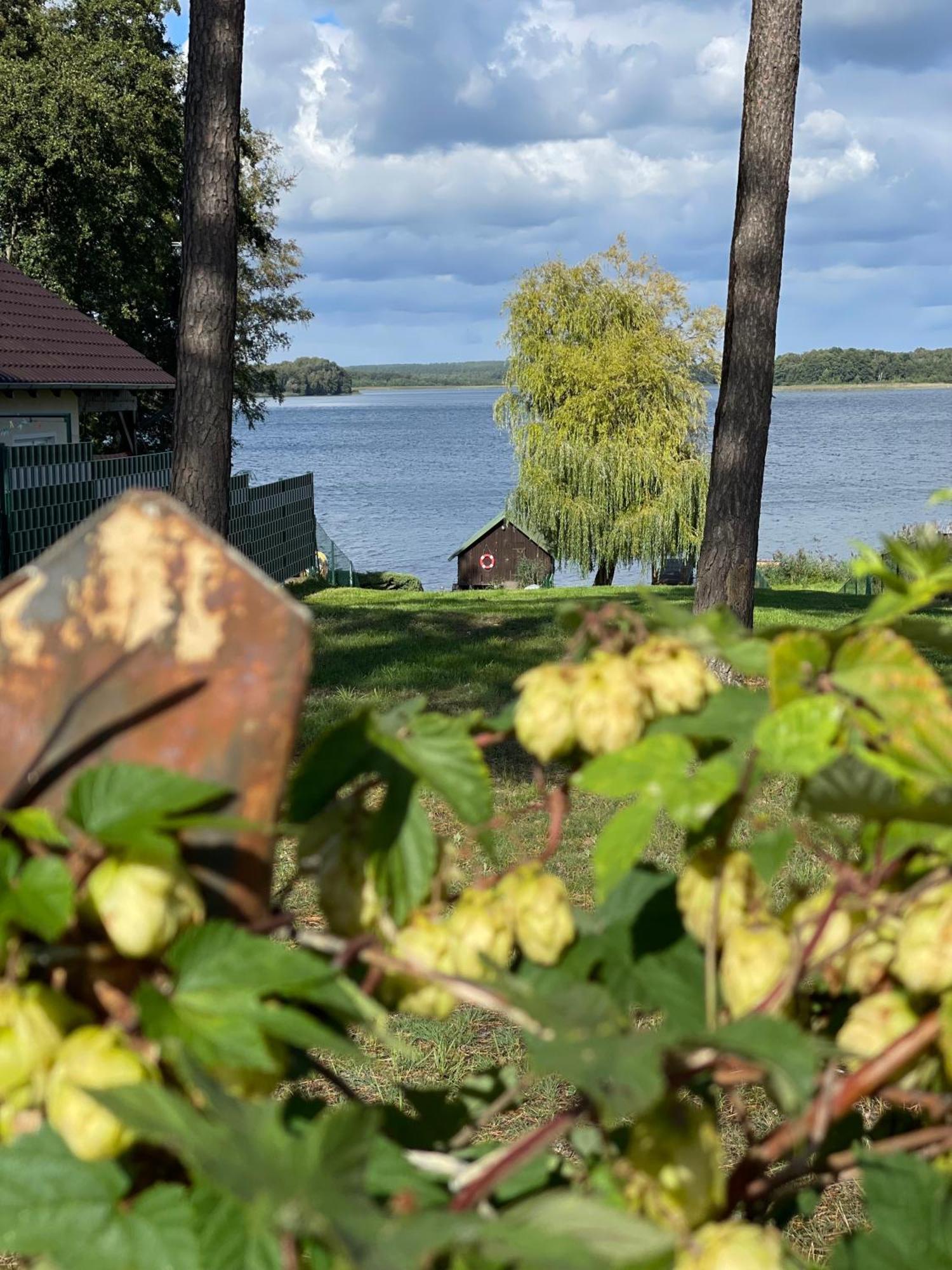 Urlaub Am Plaetlinsee - Haus Odin Wustrow  Extérieur photo